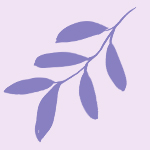 ink-drawn purple leaves on a pink background